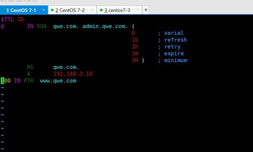 DNS反向解析、主從域名服務(wù)器、分離解析與互聯(lián)網(wǎng)域名根服務(wù)器運(yùn)行機(jī)制解析