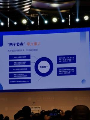 東北唯一！遼寧上線互聯(lián)網(wǎng)域名根服務(wù)器，兩大節(jié)點(diǎn)服務(wù)全民上網(wǎng)