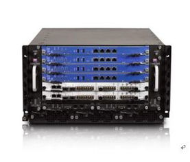 網(wǎng)絡(luò)空間擬態(tài)防御家族的隊(duì)列 互聯(lián)網(wǎng)域名根服務(wù)器運(yùn)行安全保障體系